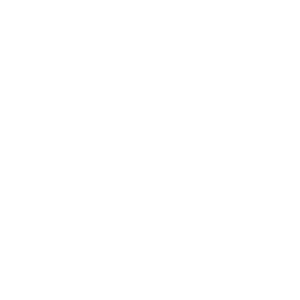 NZ_Mint_Logo