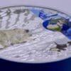2020 The Polar Ecosystems 2oz Silver Proof Coin - Image 3