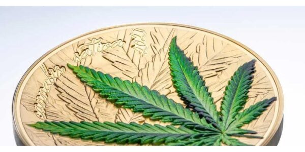 2021 Marijuana Cannabis Sativa Gilded Leaf 1oz Silver Coin - Image 3