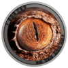 2021 $1 Do You See Me? Uroplatus Phantasticus 1/2oz Silver Coin