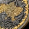 2022 Ukraine The Land of Freedom Bitcoin 1oz Silver Proof Coin - Image 5