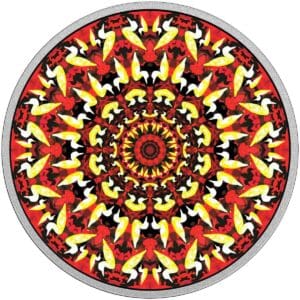 2017 $20 Canadiana Kaleidoscope The Loon 1oz Silver Coin