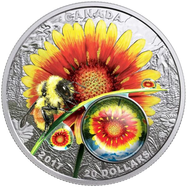 2017 $20 Mother Nature's Magnification Beauty Under the Sun Silver Coin