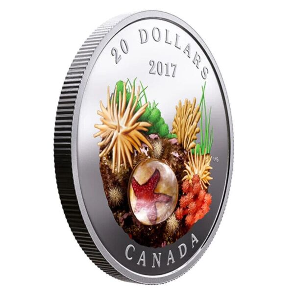 2017 $20 Under the Sea ‘Sea Star’ Silver Coin - Image 3