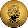 2023 $5 Maple Leaf Space Gold Edition 1oz Silver Coin - Image 2