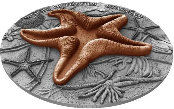 2019 $2 Starfish World of Fossils Gilded 2oz Silver Coin - Image 2