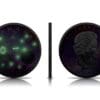 2021 $5 Glowing Galaxy Maple Leaf 1oz Silver Coin - Image 4