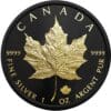 2023 $5 Black Platinum & Gold Maple Leaf 1oz Silver Coin
