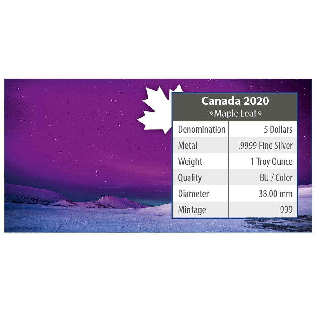 2020 $5 Churchill Town – Polar Lights Series 1oz Silver Maple Leaf Coin - Back of CoA