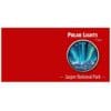2020 $5 Jasper National Park – Polar Lights Series 1oz Maple Leaf Silver Coin - Front of CoA