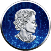 2022 Maple Leaf Artificial Intelligence 1oz Silver Coin - Image 4