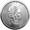 2023 $5 Meteorite - The Universe 1oz Silver Maple Leaf Coin - Image 2