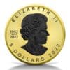 2023 $5 Gold & Black Platinum 1oz Silver Maple Leaf Coin - Obverse View