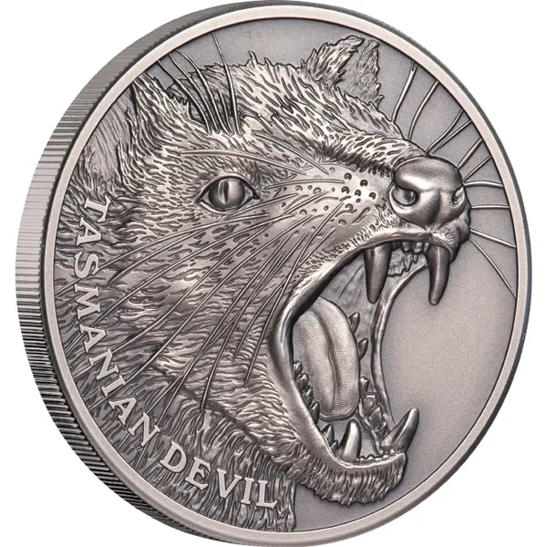 2019 $1 Tasmanian Devil 1oz Silver High Relief Antiqued Coin - Reverse View