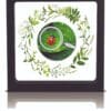 2020 Lady Bug The Secret Garden Silver Proof Coin Cased View