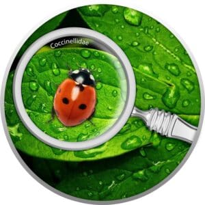 2020 Lady Bug The Secret Garden Silver Proof Coin