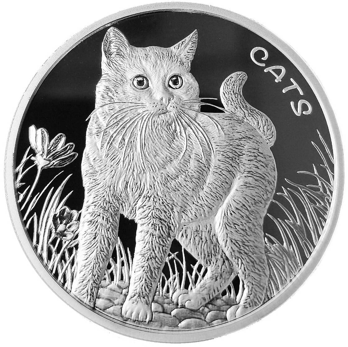 2021 50c Cats 1oz Silver Bullion Coin Reverse View