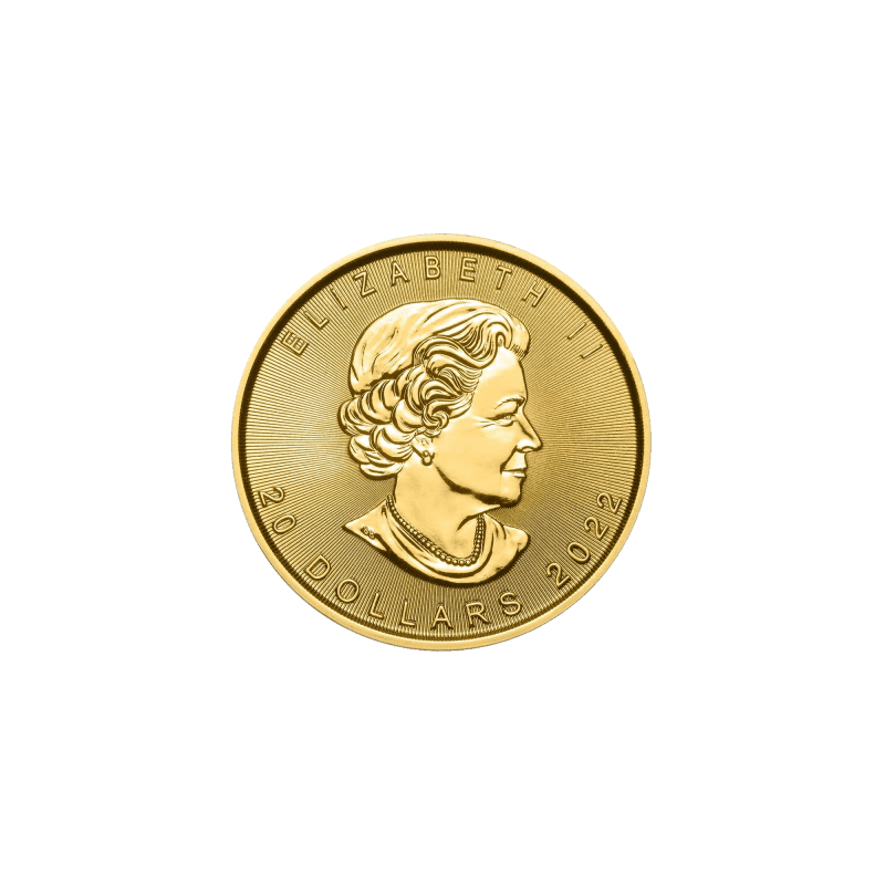 2022 1:2oz Gold Maple Leaf Bullion Coin Obverse View