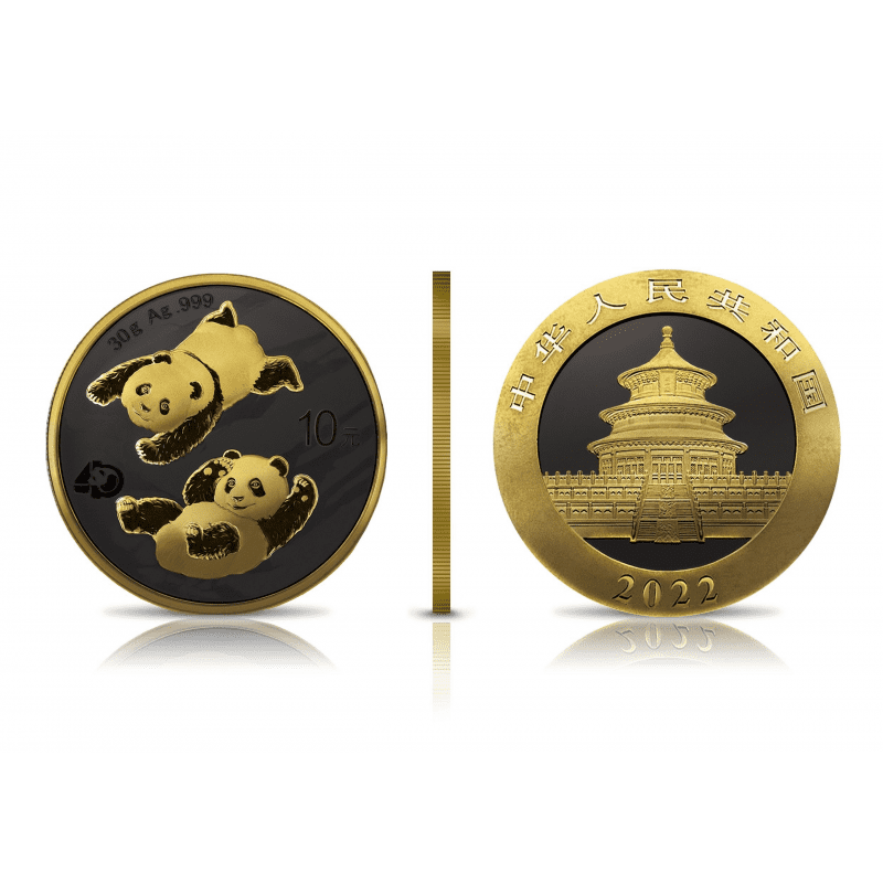2022 Panda Golden Night Silver Coin - Overview