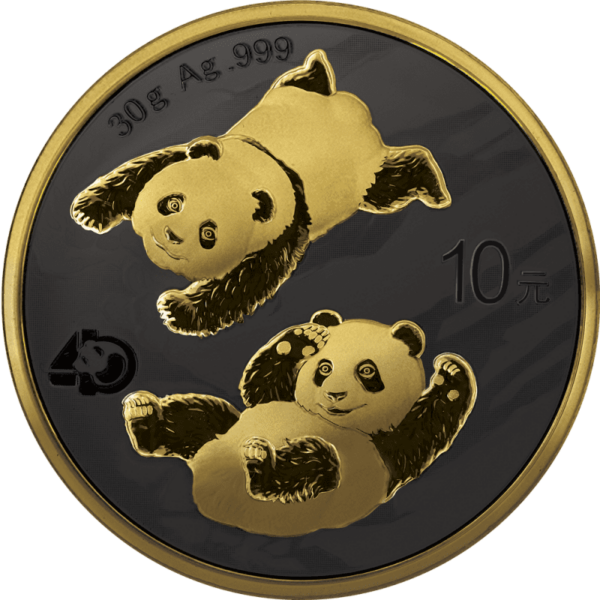 2022 Panda Golden Night Silver Coin - Reverse View