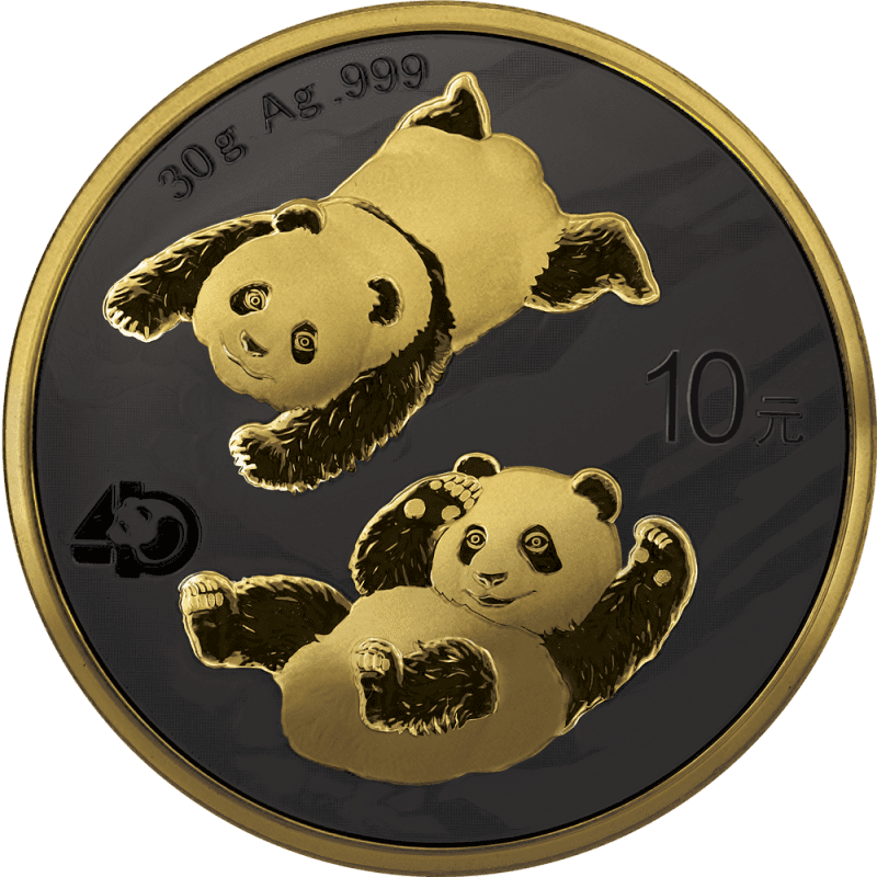 2022 Panda Golden Night Silver Coin - Reverse View