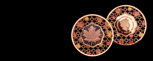 2023 $5 Filigree Maple Leaf 2oz Silver Coin - Image 3