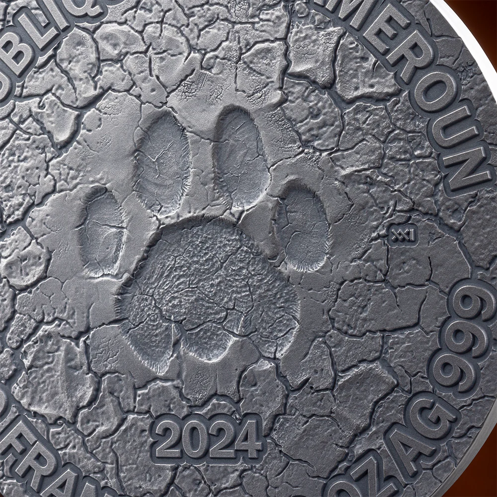 2024 The Grace of Lioness - Circle of Life 2oz Silver Antiqued Coin - Closeup Obverse View