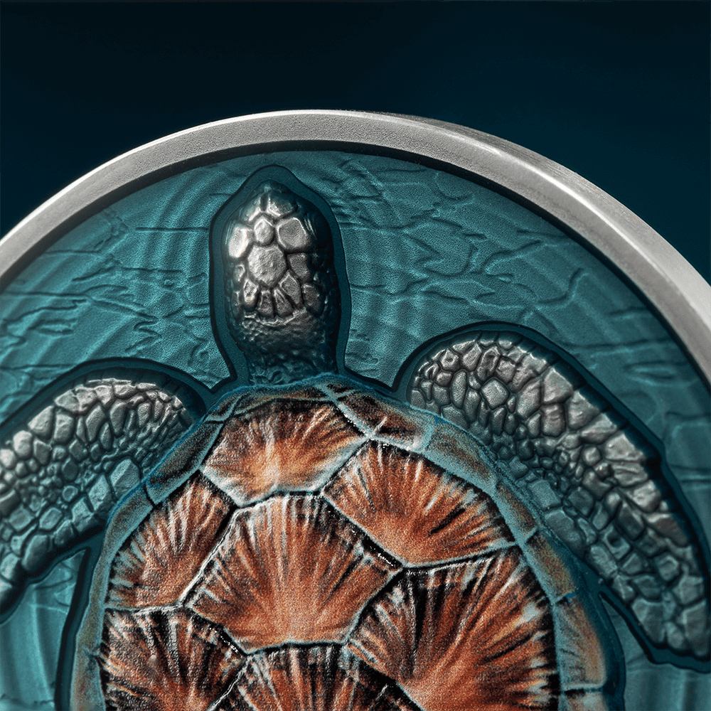 2023 $2 Loggerhead Sea Turtle – Lifelong Journey 2oz Silver Coloured Coin - Reverse View - Closeup Reverse View