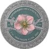 2024 Amazon Femina Bellator 2oz Silver Coloured Antiqued Coin - Obverse View