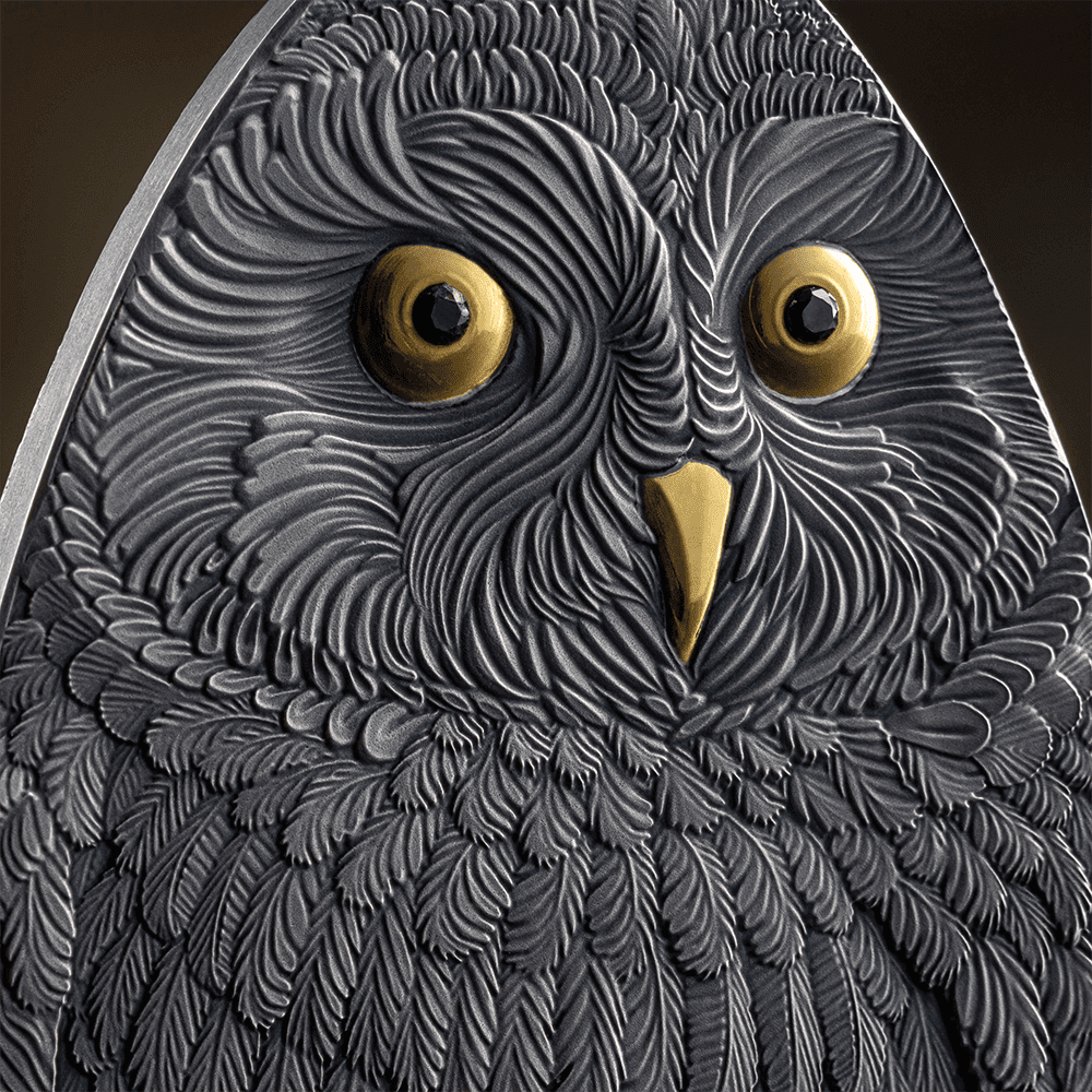 2024 Marvelous Owls - Short-eared Owl 1oz Silver Antiqued Gilded Coin - Closeup Reverse View