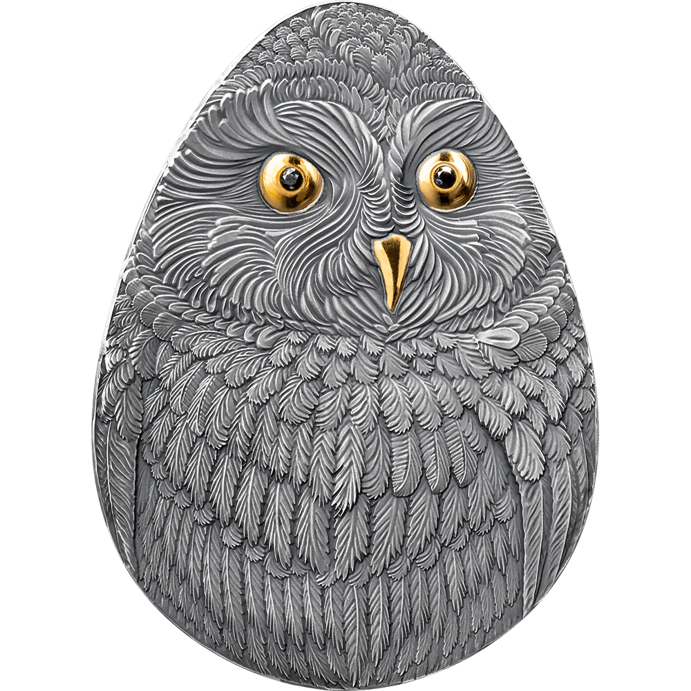 2024 Marvelous Owls - Short-eared Owl 1oz Silver Antiqued Gilded Coin - Reverse View