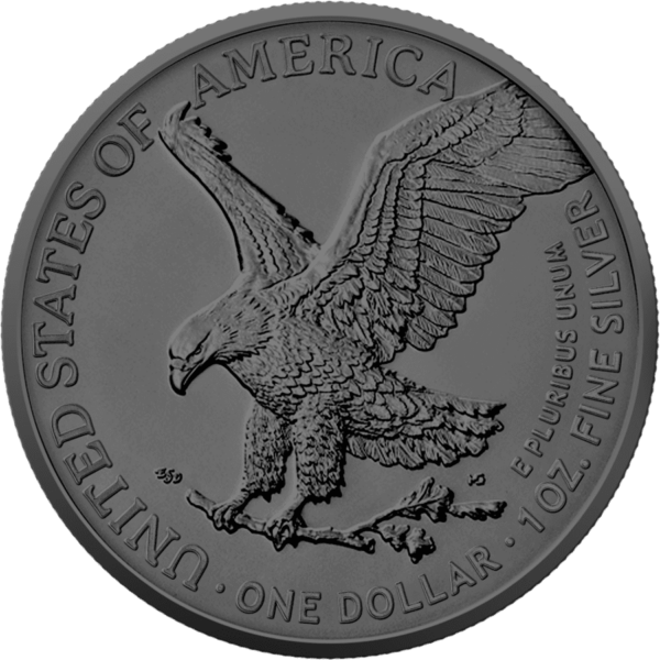 2024 Multi Holo American Eagle 1oz Silver Coin - Image 2