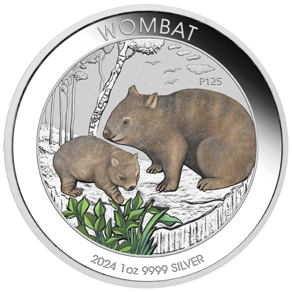 2024 $1 Wombat 1oz Silver Coloured Coin In Card