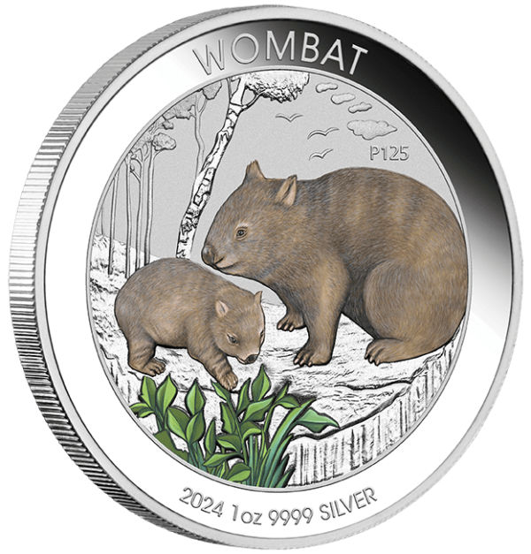 2024 $1 Wombat 1oz Silver Coloured Coin In Card - Image 2