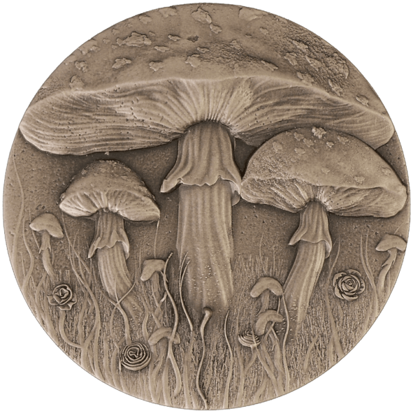 2025 Magic Mushroom 2oz Silver High Relief Coin - Image 13