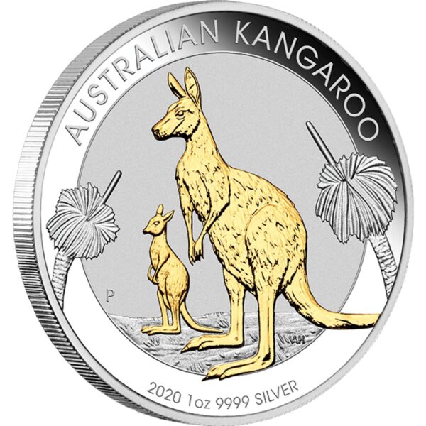 2020 $1 Australian Kangaroo 1oz Silver Proof Gilded Coin