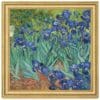 2023 $2 Vincent Van Gogh Irises 2oz Silver Proof Coin