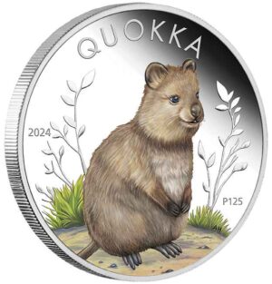 2024 $1 Australian Quokka 1oz Silver Proof Coloured Coin