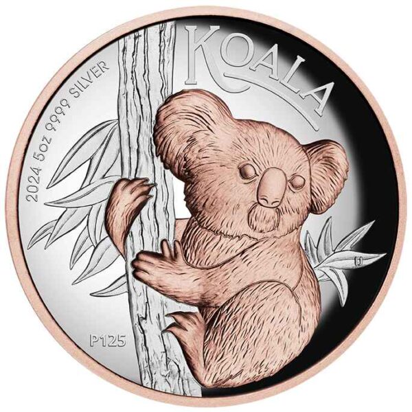 2024 $8 Australian Koala 5oz Silver Proof High Relief Gilded Coin - Image 2