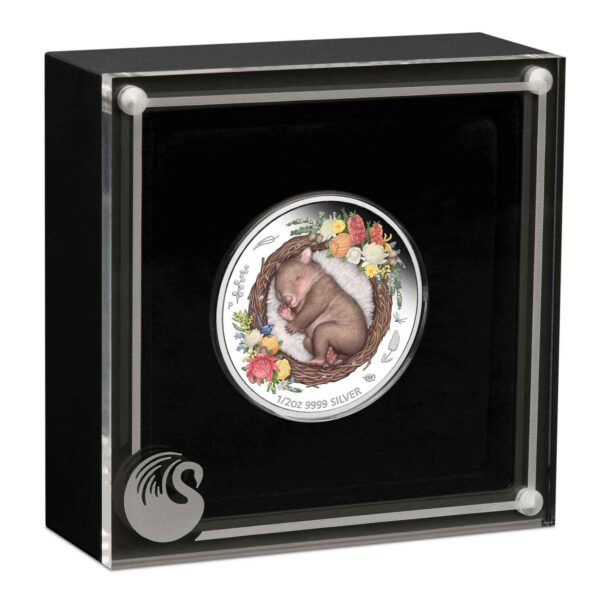 2021 50c Dreaming Down Under Wombat 1/2oz Silver Proof Coin - Image 3