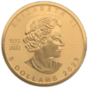 2023 $5 The Anchor 1oz Silver Maple Leaf Gilded Coin - Image 3