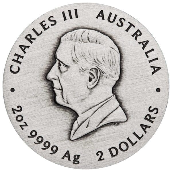 2025 $2 Year of the Snake Australian Lunar Series III 2oz Silver Antiqued Coin - Image 3