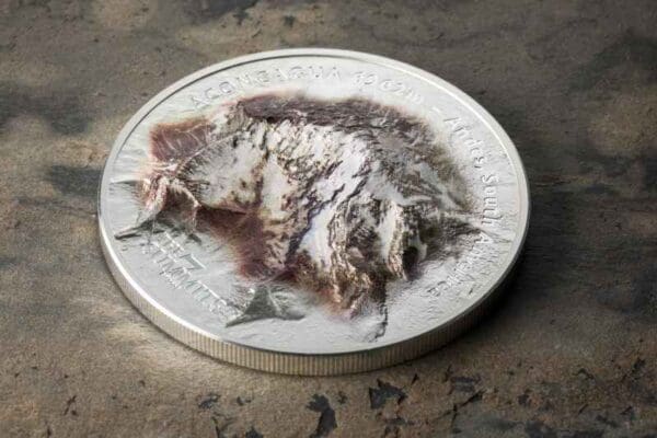 2018 $25 Seven Summits Aconcagua 5oz Silver Ultra High Relief Proof Coin - Image 3