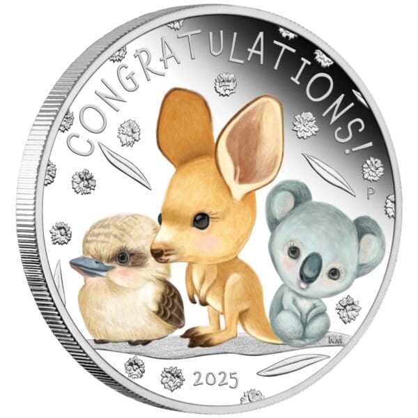 2025 Newborn Baby 1/2oz 99.99% Silver Proof Coloured Coin - Image 2