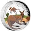 2025 $1 Australian Kangaroo 1oz Silver Proof Coloured High Relief Coin