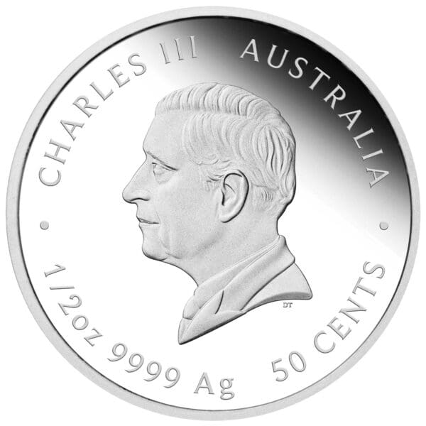 2025 Newborn Baby 1/2oz 99.99% Silver Proof Coloured Coin - Image 3
