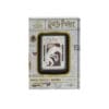 2025 $2 Harry Potter™ Magical Creatures – Werewolf Proof Coin