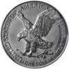 2024 Dragon of Ice 1oz Silver Colouried American Eagle Coin - Image 4