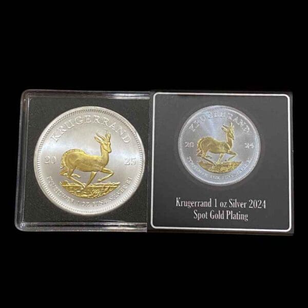2024 Krugerrand 1oz Silver Gilded Coin - Image 2