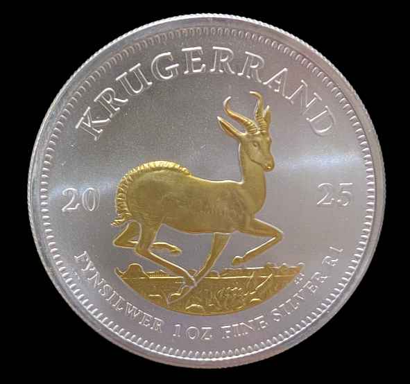 2024 Krugerrand 1oz Silver Gilded Coin